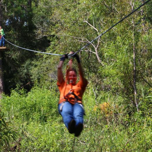 treetop adventure zipline