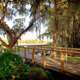 scenic lakeside boardwalk