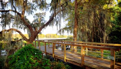 scenic lakeside boardwalk