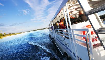 plantation cruise on crystal river