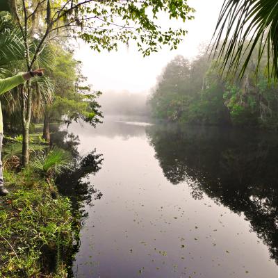 hiking along the water's edge