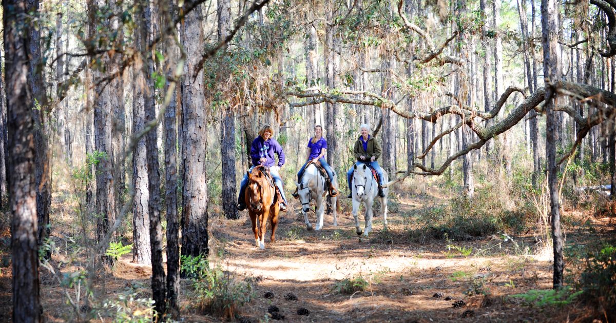 Horseback Riding in Citrus County, FL