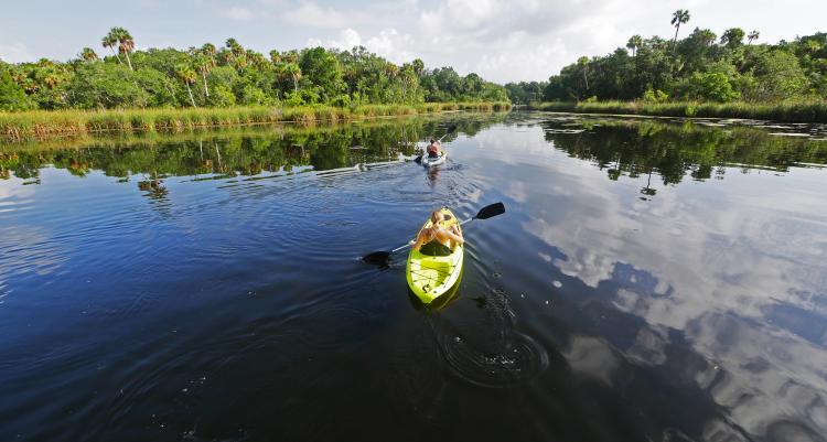 kayaking halls river