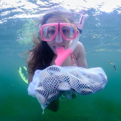 girl snorkeling for scallops